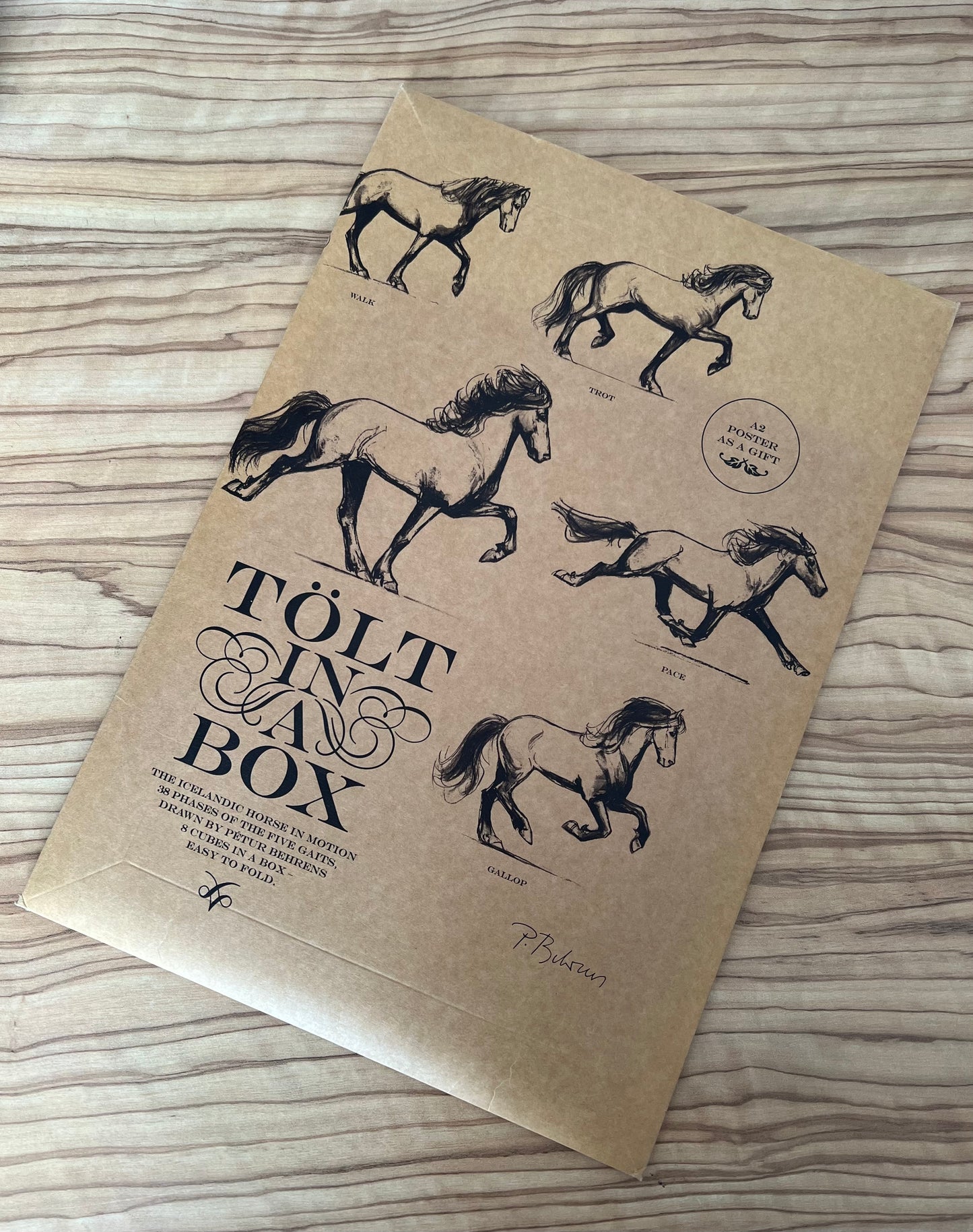 Tölt in a Box